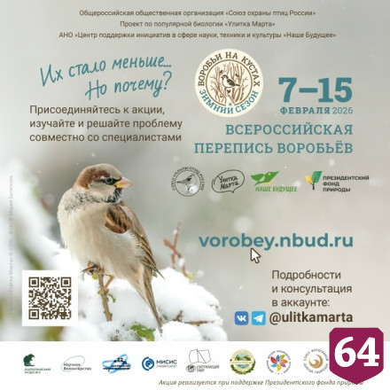 Саратовцы посчитают воробьев в рамках всероссийской переписи