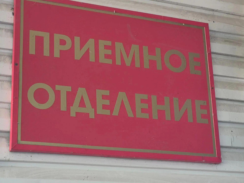 Саратовская стюардесса спасла котенка и попала в больницу