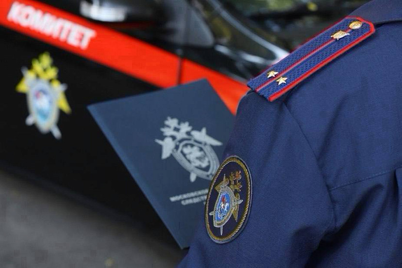 В Саратове возбуждено дело о нападении бродячей собаки на женщину 