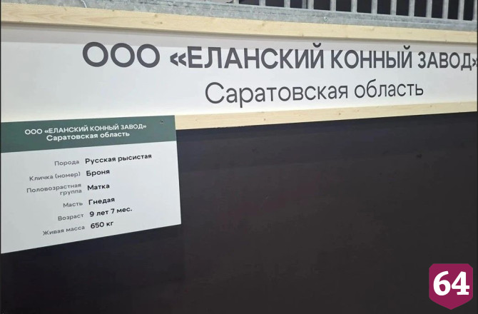 Саратовский конный завод удостоен золотой медали выставки «Золотая осень»