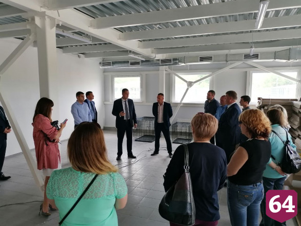 В Саратове приют для животных организует бесплатные операции
