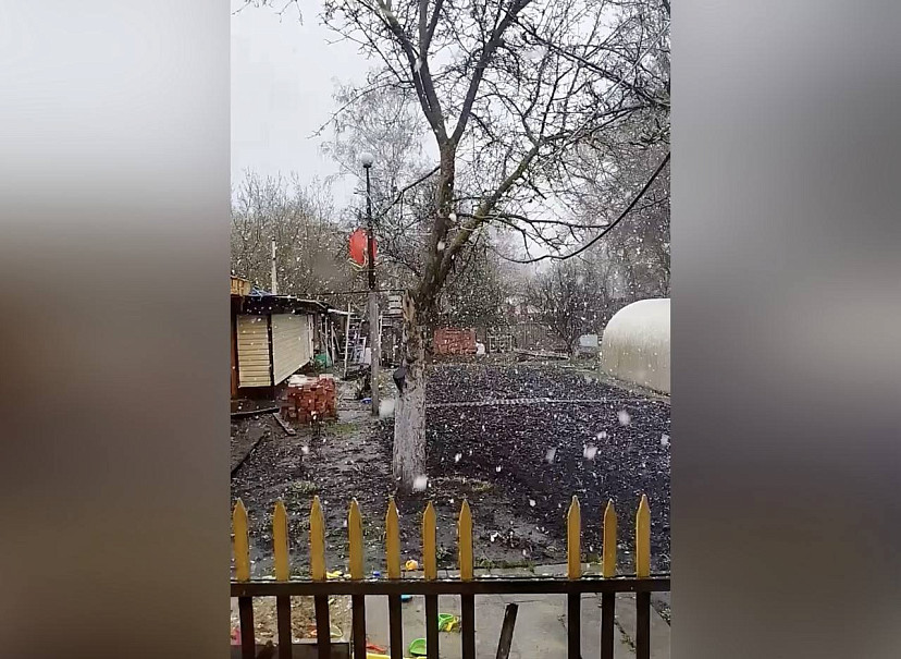 В Саратовской области в конце апреля хлопьями пошел снег