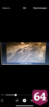 В Саратове автоворы вскрыли две машины и ушли от погони