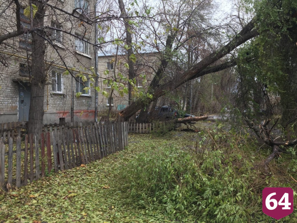 В Саратове деревья рухнули на два автомобиля и два дома