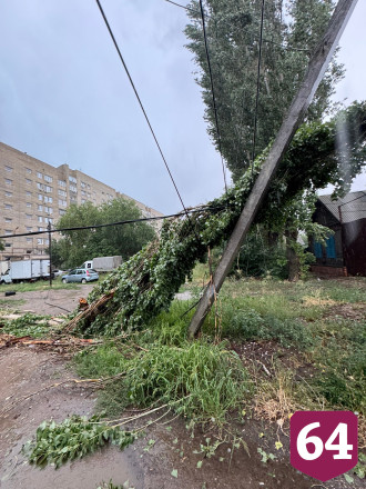 В Энгельсе рухнувший тополь оборвал провода