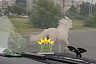 В Саратове ловили убежавшего пони