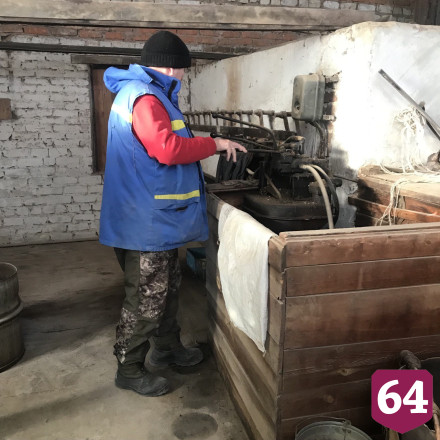 Под Саратовом переработают 57 тонн шишек из трех регионов