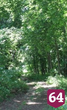 В старинном парке под Саратовом проложили познавательную экотропу