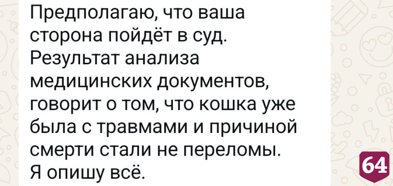 Под Саратовом кошка погибла после стрижки в груминг-салоне