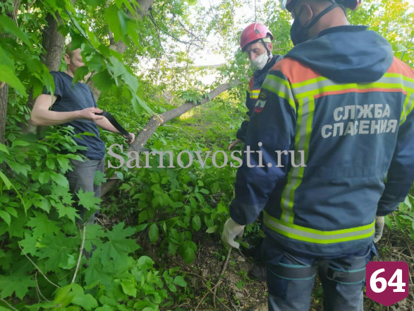Спасатели уговорили нарушителя самоизоляции не прыгать с дерева 
