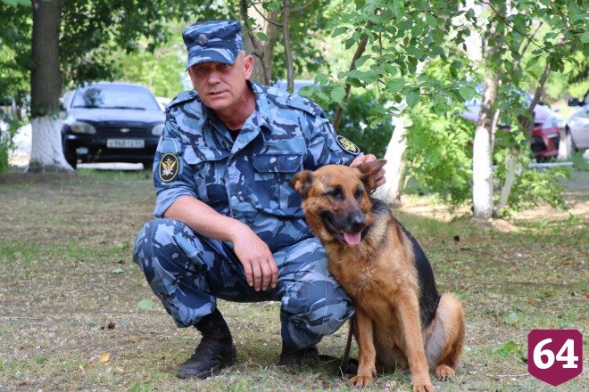 В УФСИН по Саратовской области несут службу 240 собак