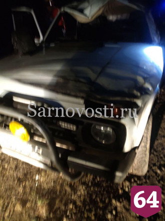Под Саратовом внедорожник сбил кабана и вылетел в кювет