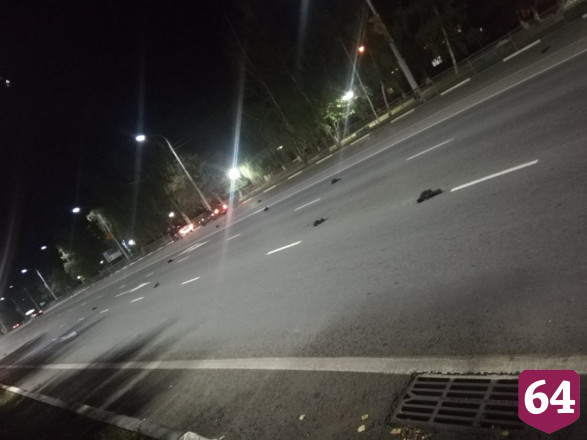 Ветеринары выясняют причину массовой гибели птиц в Саратовской области