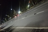 Ветеринары выясняют причину массовой гибели птиц в Саратовской области