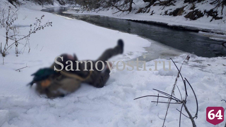 Обнародовано имя утонувшего в Медведице мужчины с хлебом в рюкзаке