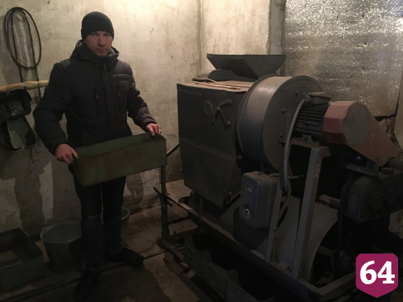 Под Саратовом сушат шишки для пополнения стратегического запаса семян