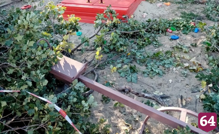 В Саратове дерево рухнуло на детскую площадку 
