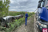 Установлена площадь разлива нефти у национального парка под Саратовом