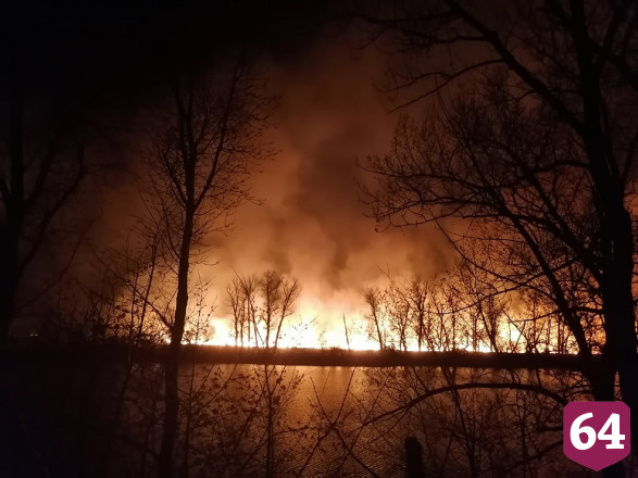 В 4 районах Саратовской области горели леса