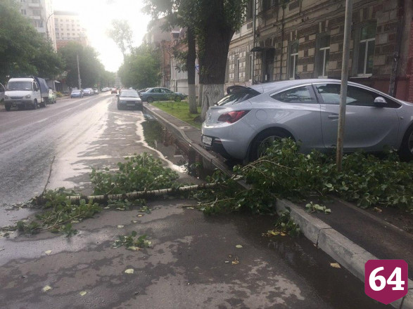 В центре Саратова сильный ветер срывал с деревьев крупные ветки