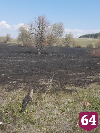 В Саратовской области отбили огонь от леса