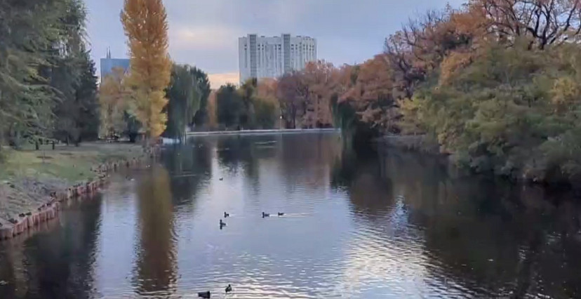 Установка фонтанов на прудах городского парка Саратова продолжится