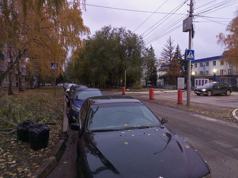 В Саратове заметили пешеходный переход в никуда