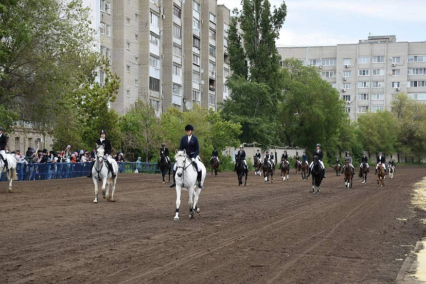Саратовцев ждут на ипподроме на открытии бегового сезона 