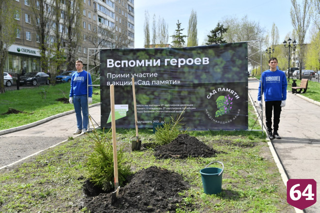 Саратовский губернатор посадил ель в память о погибших бойцах 