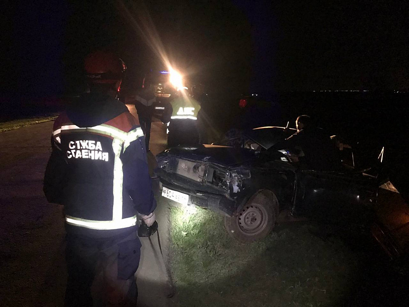 Водитель легковушки насмерть сбил двух лошадей и едва не погиб