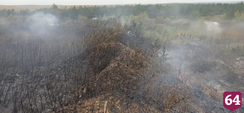 Под Саратовом 2 десятка человек 7 часов тушили природный пожар 