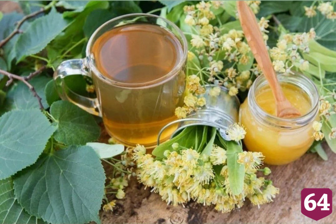 Саратовский мёд и варенье из шишек попробуют на «Вкусах России»
