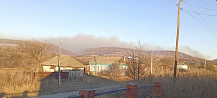 Жители саратовского села Лох и сотрудники лесхоза тушили крупный пожар