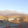 Жители саратовского села Лох и сотрудники лесхоза тушили крупный пожар