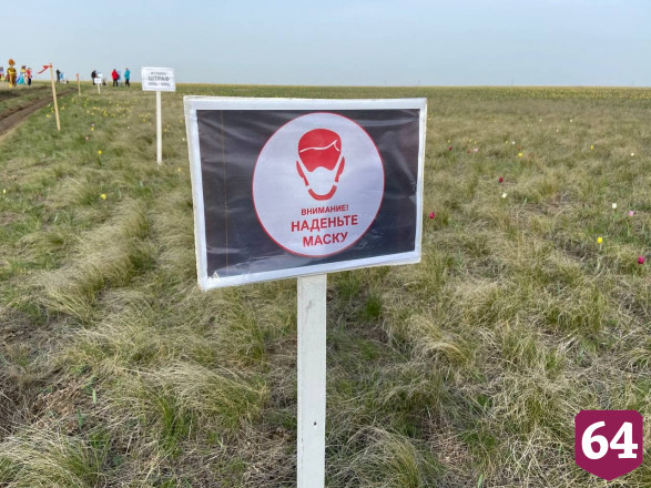 Саратовского губернатора поразили поля цветущих тюльпанов 