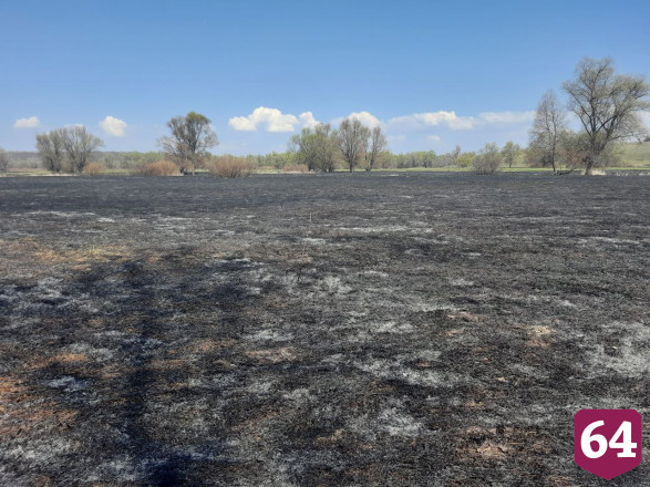 В Саратовской области отбили огонь от леса