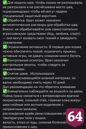 Саратовские ветеринары спасли кошку с рваной раной лапы