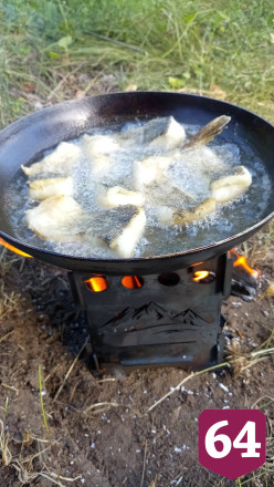 На набережной Саратова заметили сома-мутанта