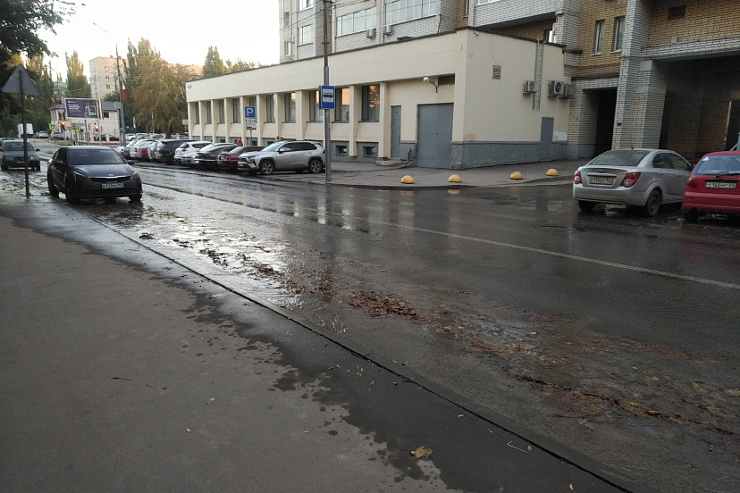 Саратовец предложил сделать затопленную улицу притоком Волги