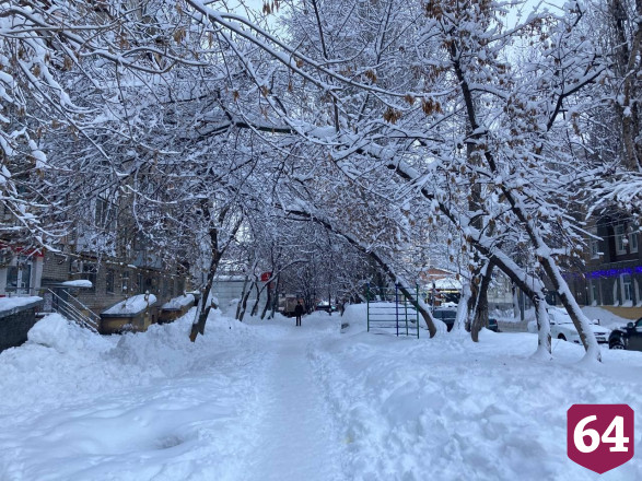 Опасные деревья у школы Саратова не спилят до весны