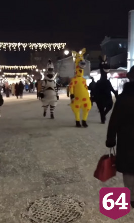 В центре Саратова «кони» выпрашивают деньги у прохожих