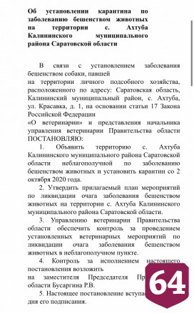 В Саратовской области выявлены новые очаги бешенства