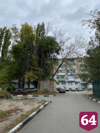 В Саратове после падения дерева попросили обследовать двор