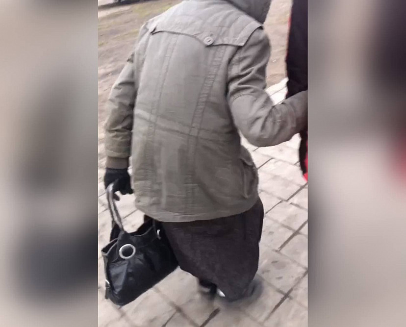 В Энгельсе школьники спасли пенсионерку от бродячих собак