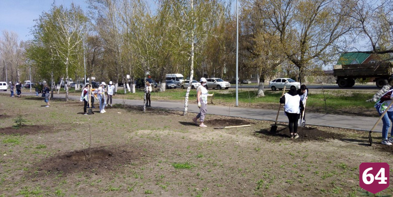 Участники акции «Сад памяти» высадили в Энгельсе 200 деревьев 