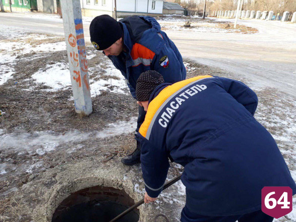 Спасатели вытащили упавшую в люк собаку