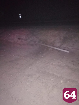 На саратовской трассе автомобиль насмерть сбил лосиху