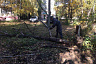 В «Чистый четверг» Саратов убирали 5 тысяч человек