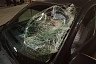 В Саратове трое пешеходов нарушили правила и попали в больницу