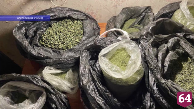 Жители Заводского района хранили дома 10 килограммов марихуаны